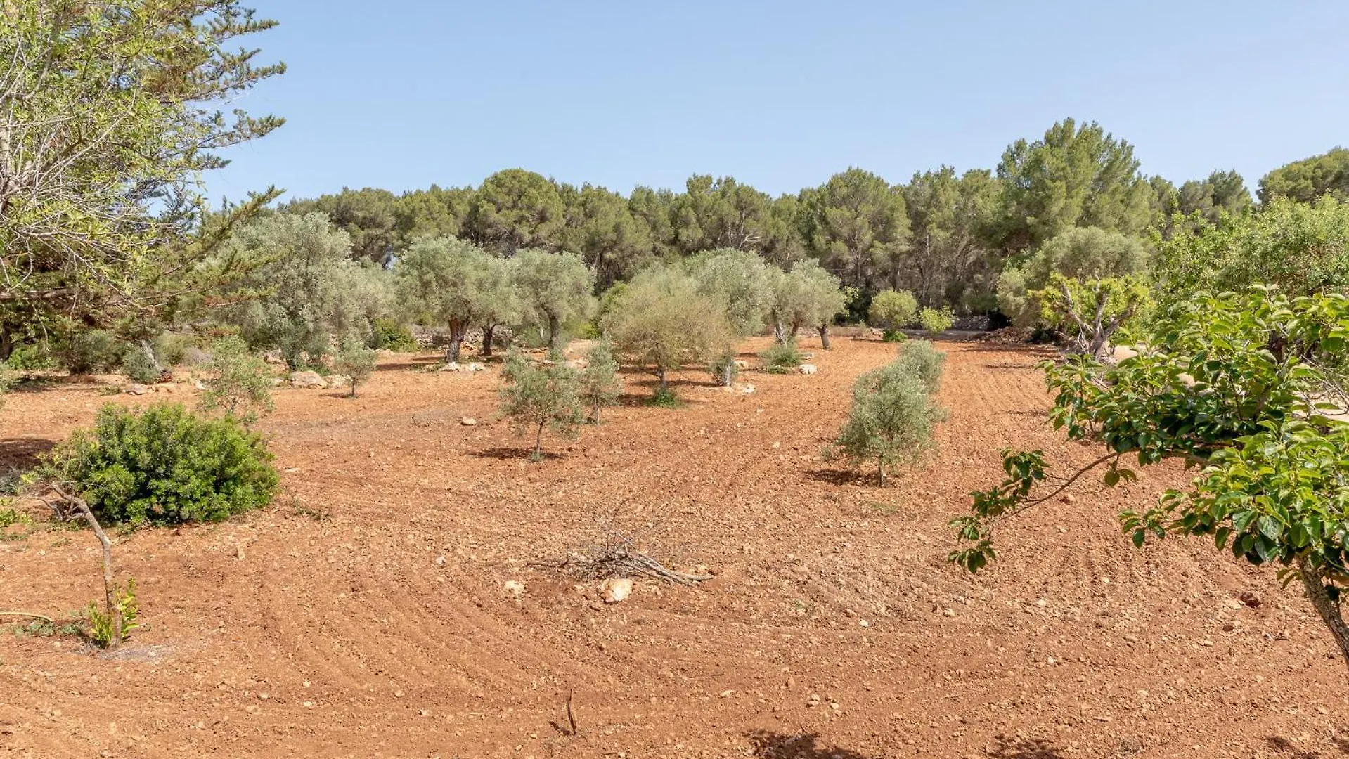 Finca Aigo By Mhr Cala Murada  Holiday home